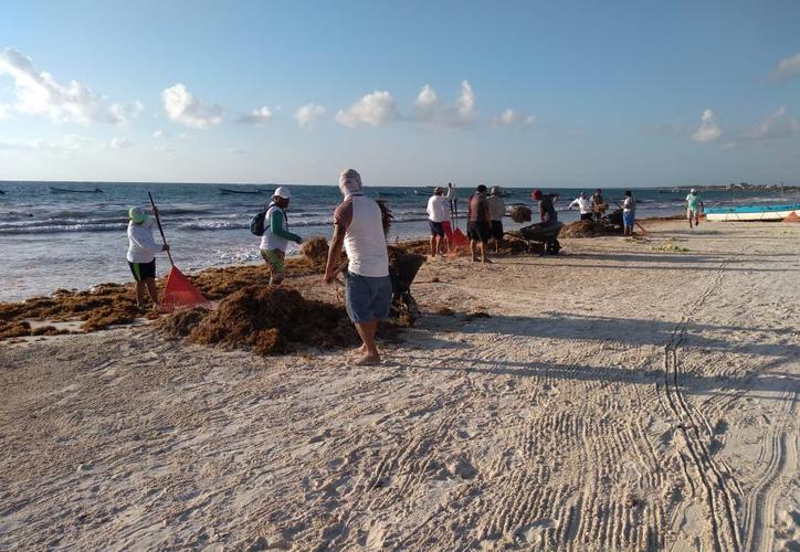 Urge limpieza de playas en Tulum