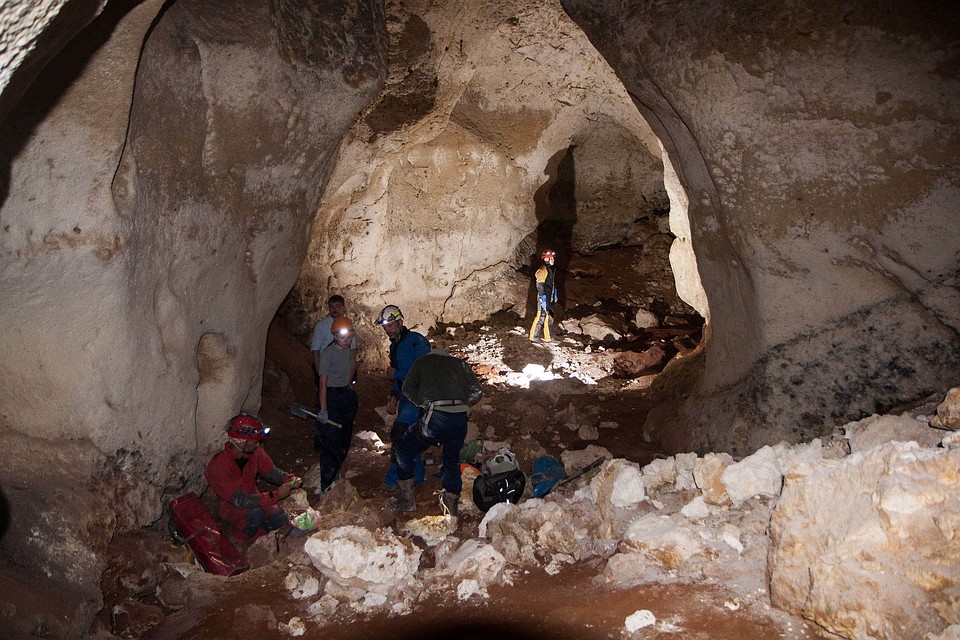 Hallan ave prehistórica que triplicaba el tamaño de un avestruz