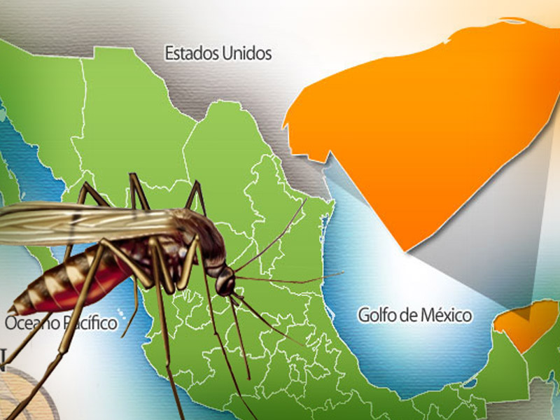 Dengue en Yucatán