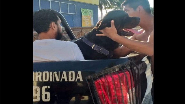 Perro rottweiler ataca a un niño en pleno malecón de Progreso