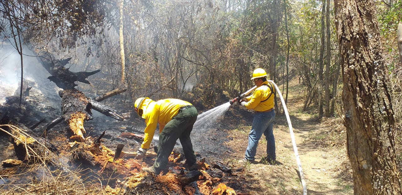 Quintana Roo logra liquidar 49 incendios forestales