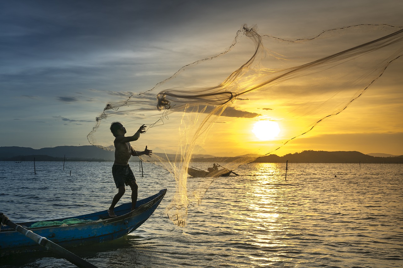 Ya puedes tramitar tu permiso de pesca comercial - El Maya
