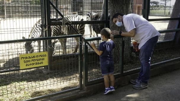 Zoológicos del Centenario y Animaya abrirá sus puertas tras 'Grace'