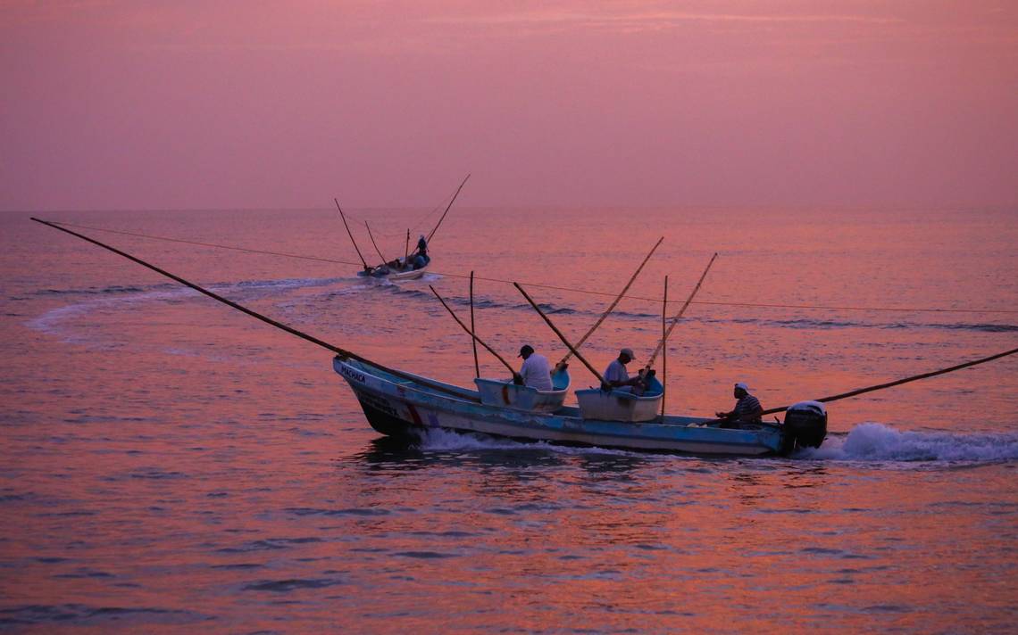 Ante la veda del Mero, el Gobierno de Yucatán dará apoyos económicos a pescadores