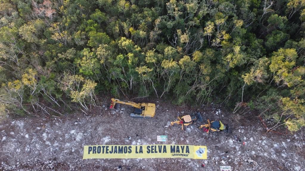 Activistas de Greenpeace "inmovilizan" maquinaria del Tren Maya