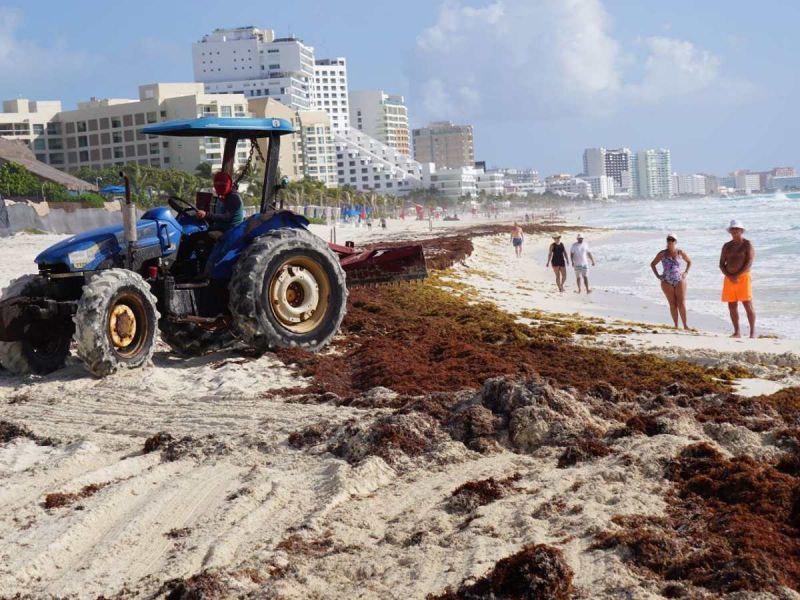 Carlos Joaquín pide mantener limpias de sargazo a la playas de QRoo