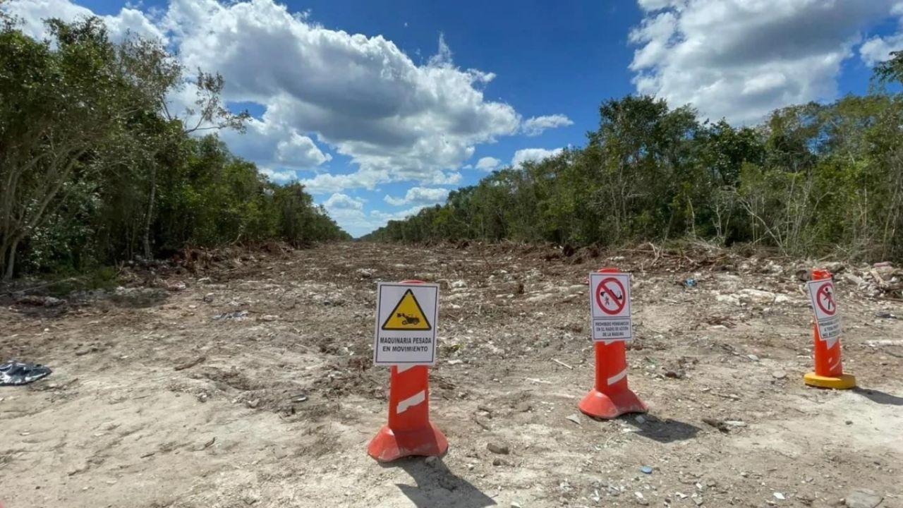 Organizaciones piden detener obras del Tren Maya en Playa del Carmen
