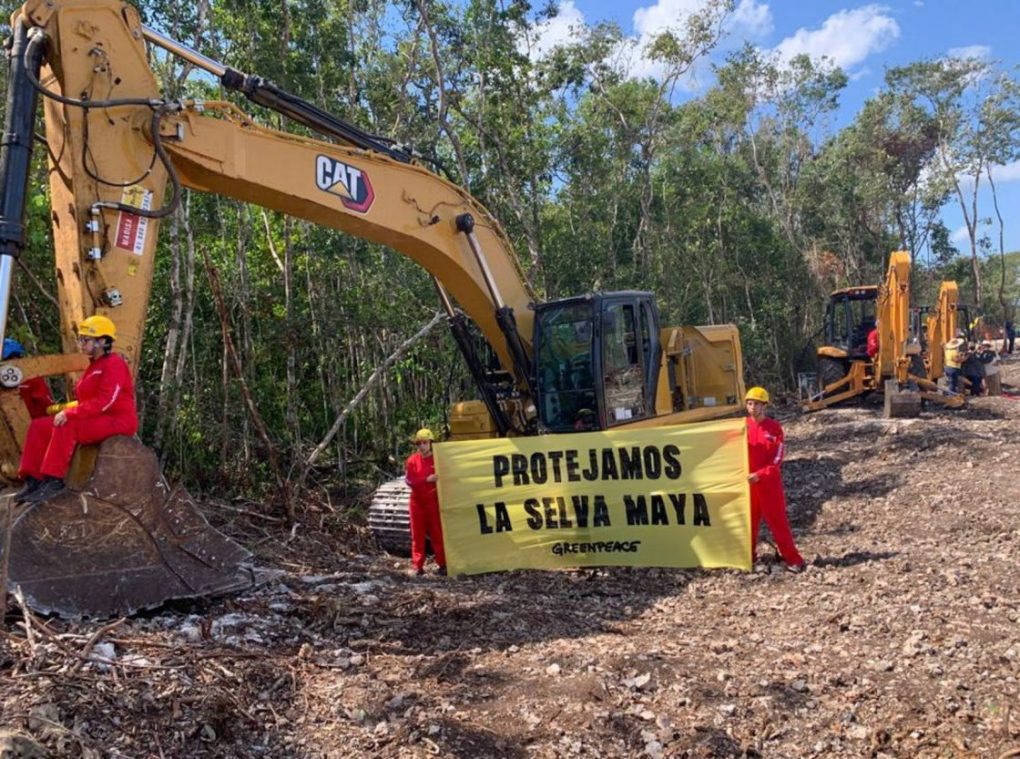 Académicos piden a AMLO frenar y evaluar a fondo la construcción del Tren Maya
