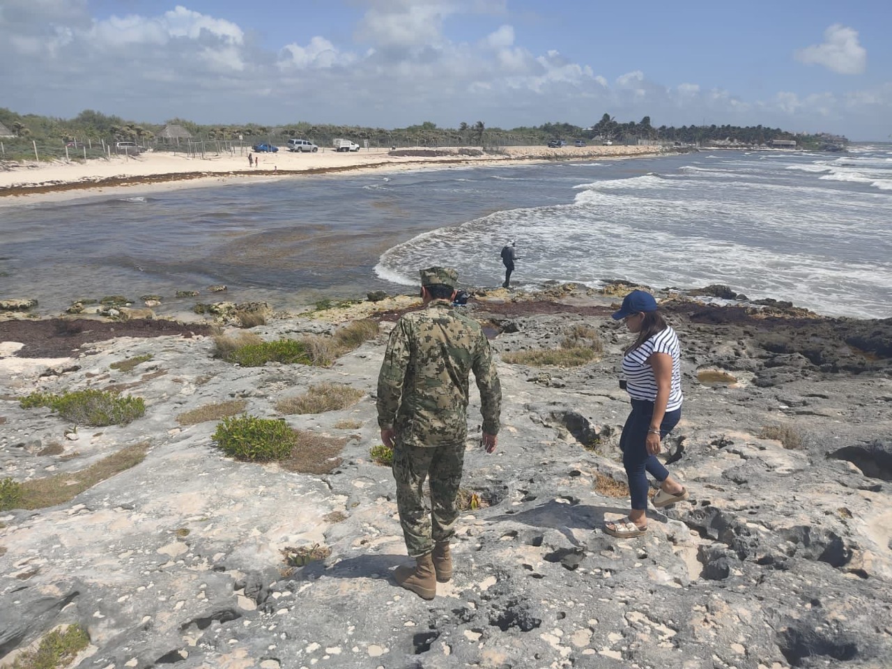QRoo fortalece la estrategia para que las playas estén limpias de sargazo