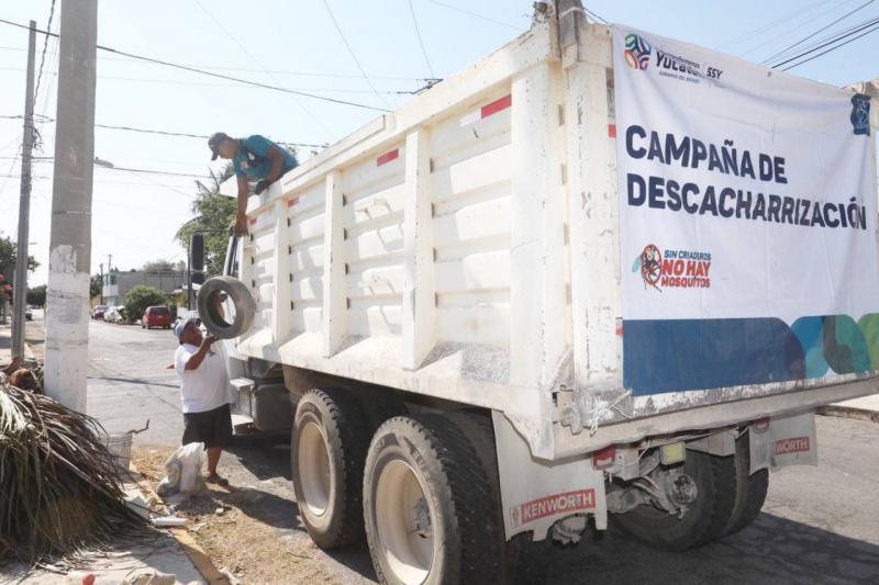 Recolectan más de 301 mil toneladas de cacharros en Mérida
