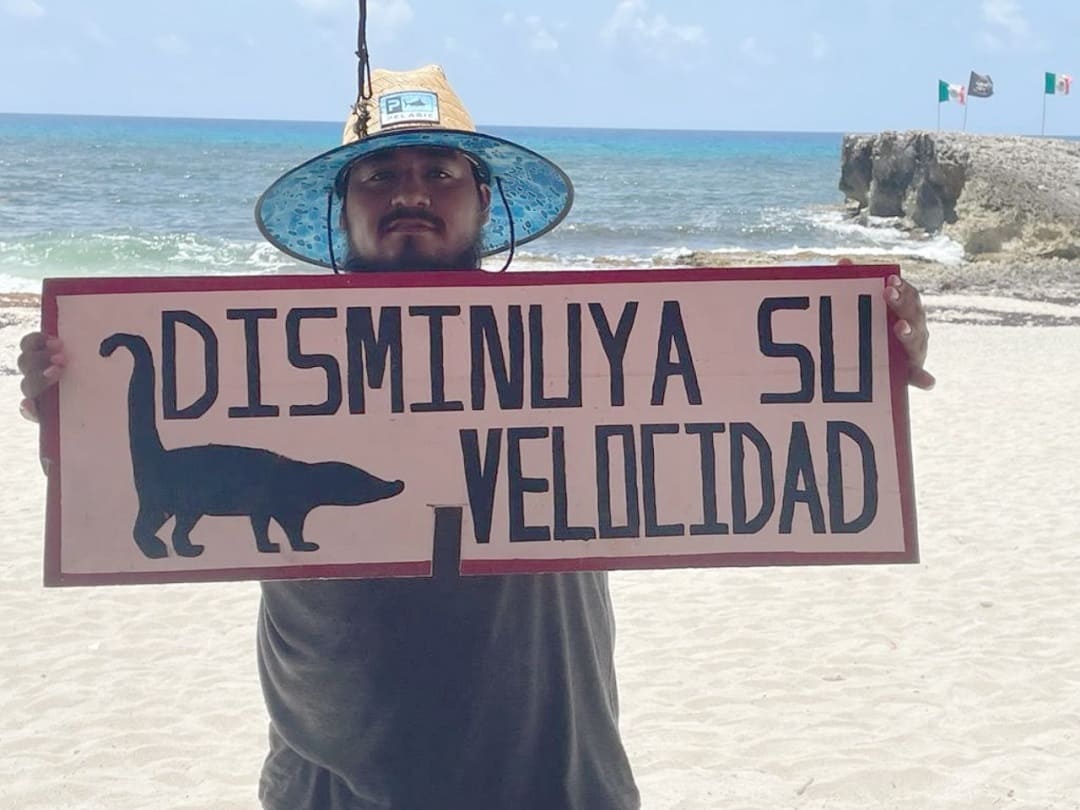 Colocan letreros preventivos ante paso de fauna en carreteras de Cozumel