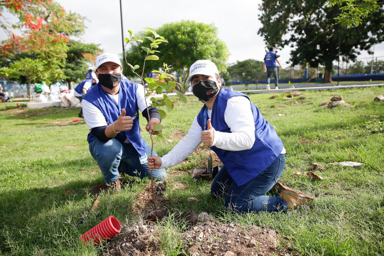 Programa 'Adopta un árbol' llega a gasolineras de Mérida