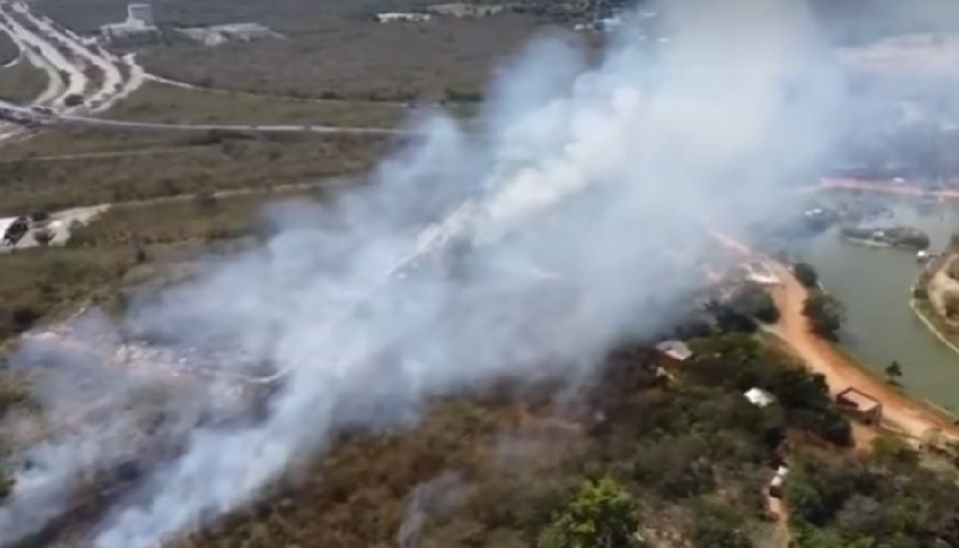 Sin daños en el Animaya tras incendio en terrenos aledaños