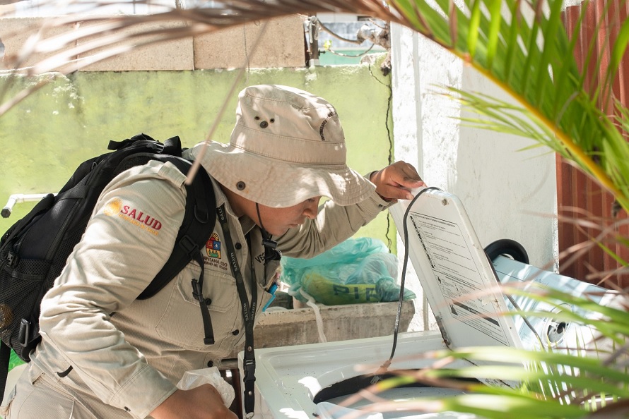 SESA intensifica los operativos contra el dengue en QRoo