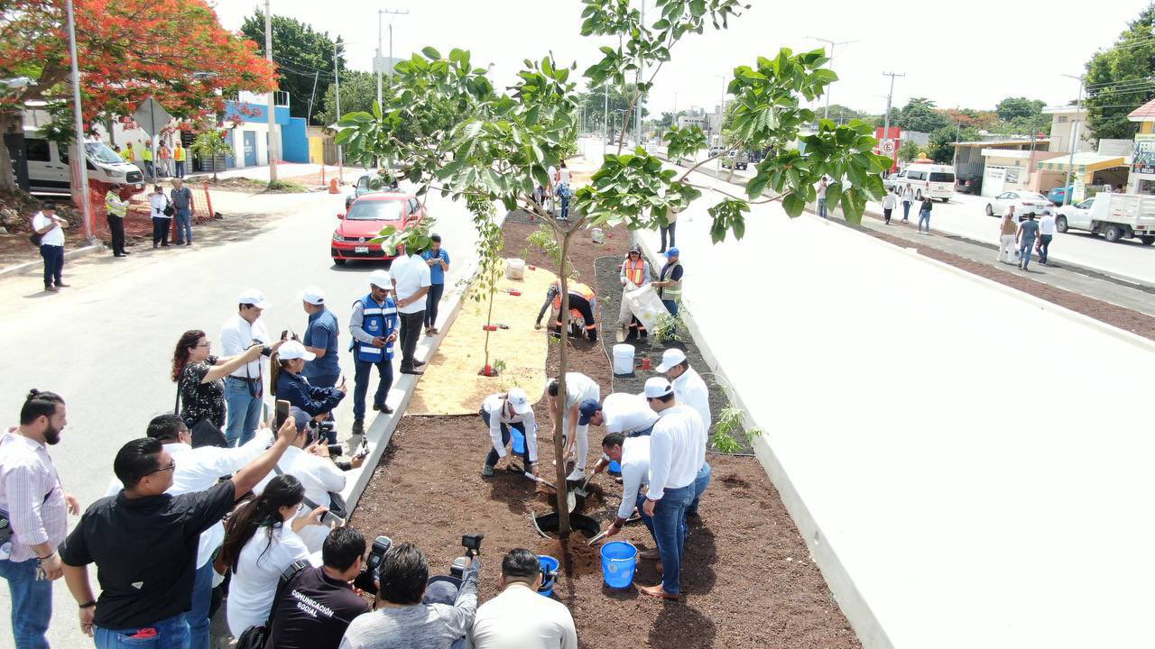 Sembrarán 1,500 árboles como parte del proyecto Ie-Tram en Mérida