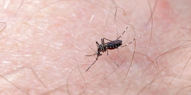 SESA recomienda acudir a los centros de salud y no automedicarse en caso de dengue