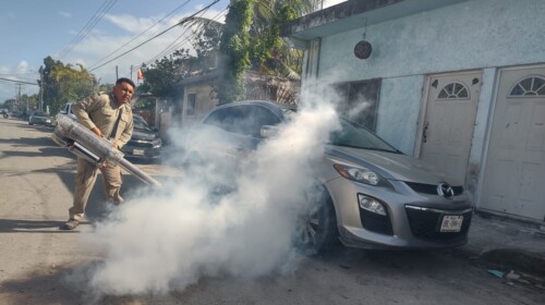 Quintana Roo continúa su combate contra el dengue