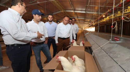 Nuevos empleos para Peto y sus comisarías con apertura de granja productora de huevos