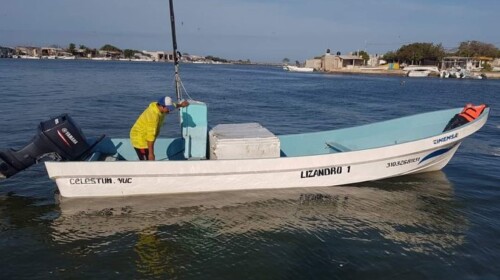 Reportan desaparición de cinco pescadores en Celestún, Yucatán