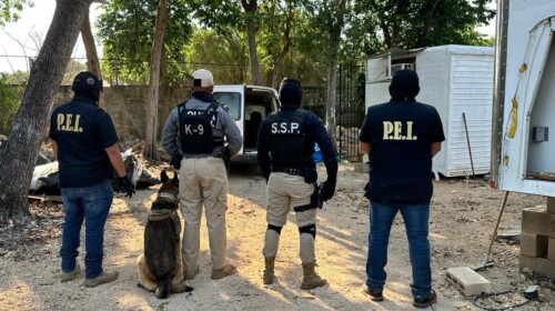 Catean cuatro predios en Mérida: decomisan drogas y detienen a dos