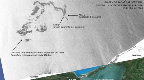 Organizaciones ambientales denuncian nuevo derrame de petróleo en Campeche