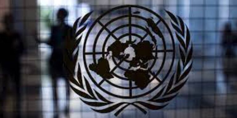 ONU-DH alienta a las autoridades electas a adoptar una agenda contra la tortura