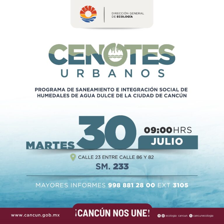 Invita gobierno de Benito Juárez a participar en actividades de cuidado al medio ambiente