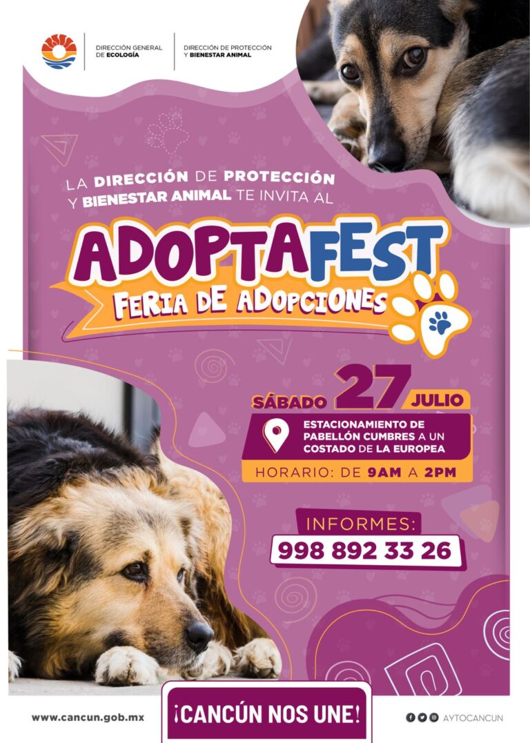 Gobierno de BJ invita a feria de adopción de perros y gatos