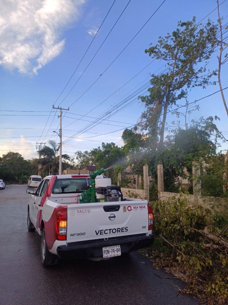 SESA despliega amplio operativo contra el dengue