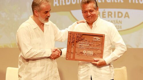 Mérida recibe por quinta ocasión la distinción “Ciudad Árbol del Mundo“