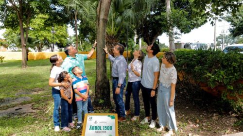 Mérida suma 9 mil 284 árboles plantados en este año