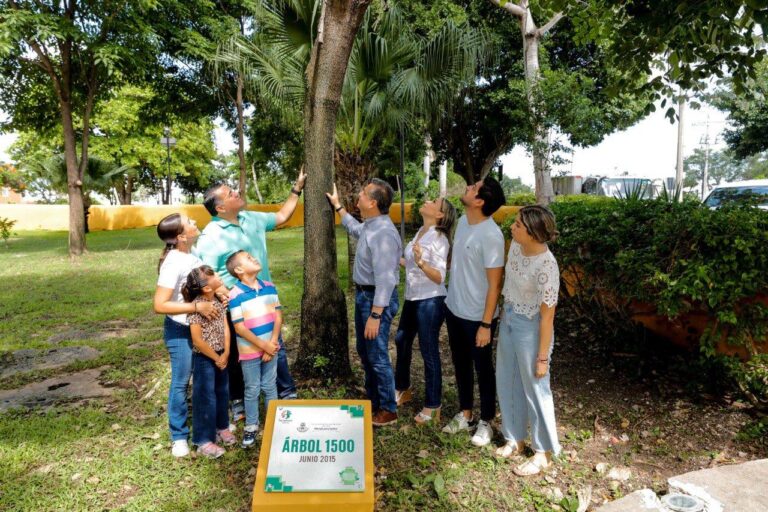 Cruzada Forestal 2024: Mérida suma 9 mil 284 árboles plantados en este año
