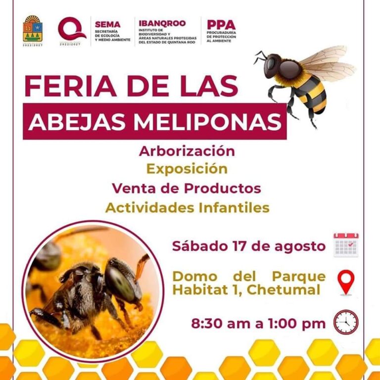 SEMA anuncia Feria de la Abejas Meliponas en Chetumal