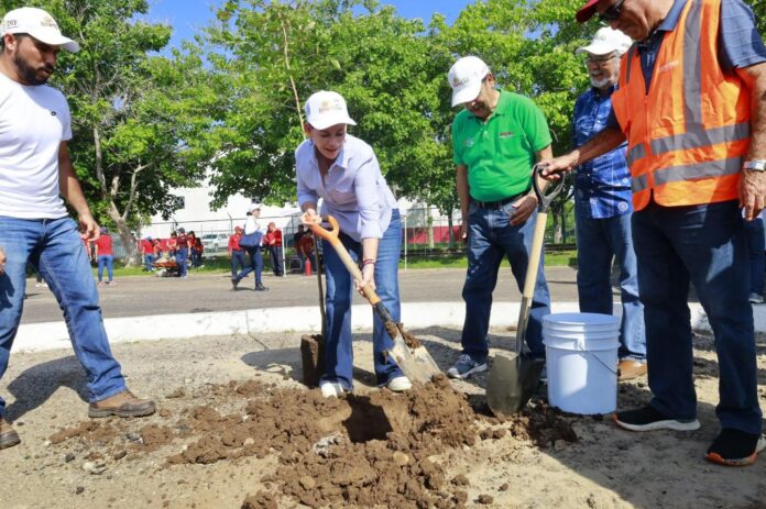 DIF Tabasco inicia segunda fase de reforestación del Parque Tabasco