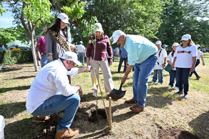 Invitan a la segunda fase de reforestación del Parque Dora María