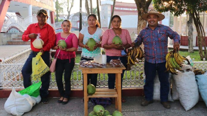 Productores participaran en el Mercado “Sembrando Vida Tulum”