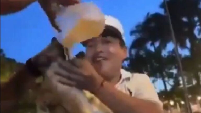 Jóvenes obligan a perrito a tomar cerveza en Yucatán; los acusan de crueldad animal