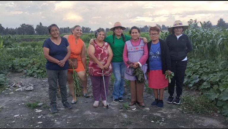 Extinción de la mujer en la producción del campo si Sheinbaum las excluye del Plan Nacional de Gobierno