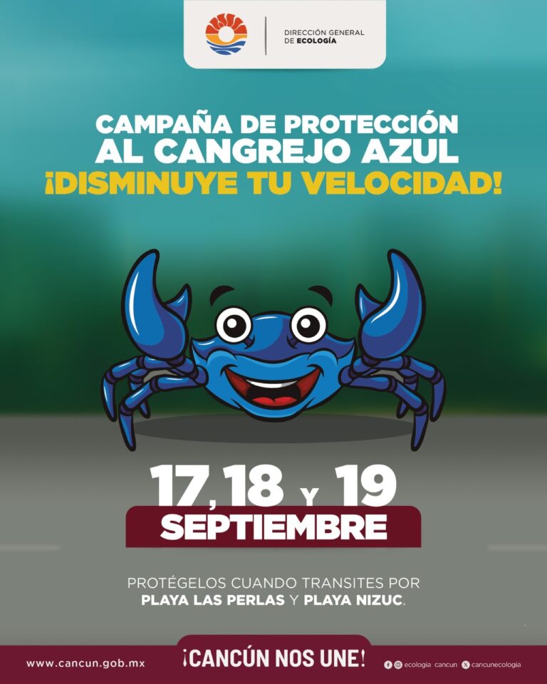 Gobierno de BJ invita cuidar el cangrejo azul