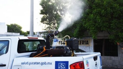 Continúan las jornadas de fumigación en Yucatán