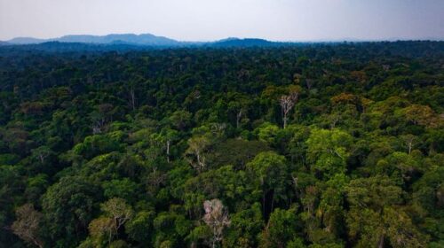 Gobierno de Yucatán lanza guía para el desarrollo de proyectos social y ambientalmente responsables