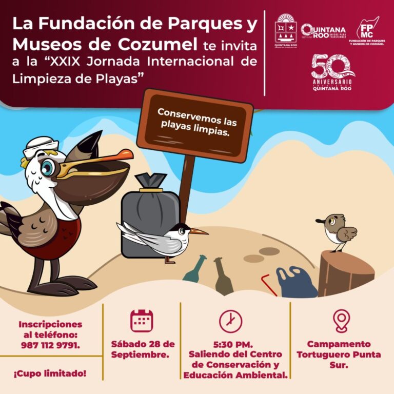 Convocan a la Jornada Internacional de Limpieza de Playas