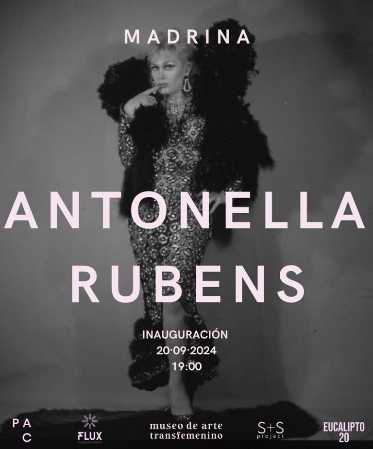 PLASTICIDADES ENCARNADAS Arqueología de la estética y prácticas artísticas contemporáneas de mujeres trans en México (1970-2024)