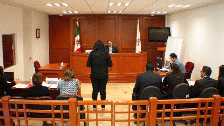 DIARIO EJECUTIVO: Justicia para Robert y la Reforma Judicial