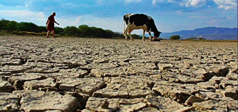 Futuras sequías podrían ser más largas de lo previsto, advierte estudio de Natura