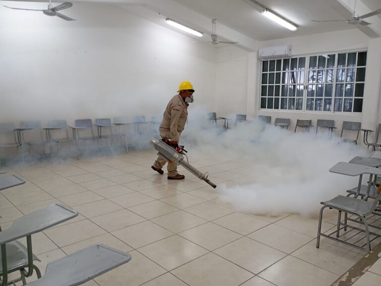 Quintana Roo pasa del lugar 3 al 22 en casos de dengue