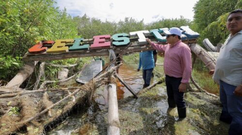 Arranca operativo de limpieza “Echémosle Montón” en Celestún