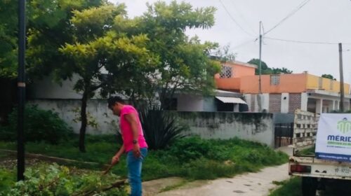 Ayuntamiento de Mérida más de 400 reportes de afectaciones por ‘Milton’