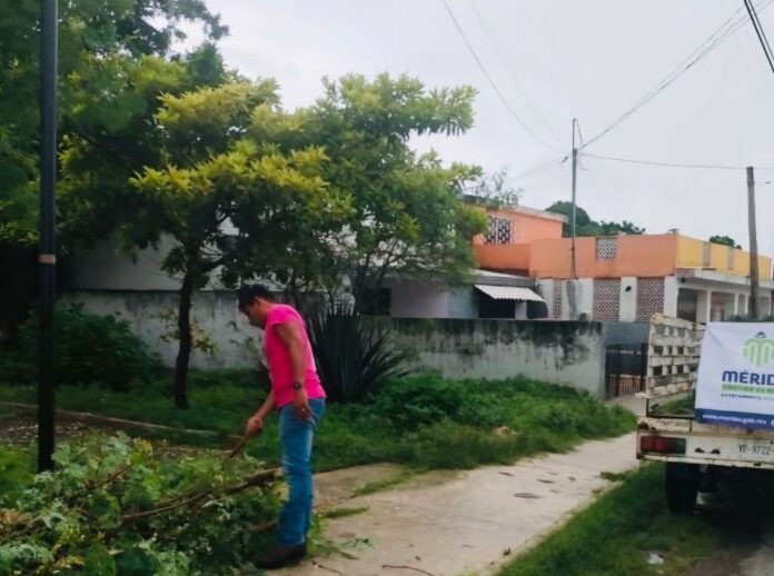 Ayuntamiento de Mérida más de 400 reportes de afectaciones por ‘Milton’