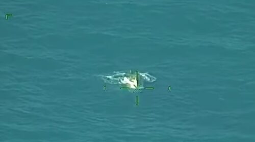 Encuentran cuerpo flotando cerca del puerto de El Cuyo, Yucatán